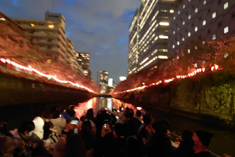 【乗合・東京・目黒川お花見クルーズ】夜桜を楽しむ！ナイトクルーズプラン＜天王洲アイル駅から徒歩4分＞
