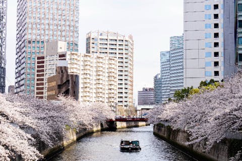 【東京・目黒川お花見クルーズ・乗合】新造船でお花見！BARスタイル目黒川お花見クルーズ！