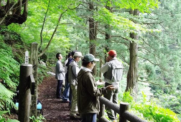 鳥取県智頭町は、町の総面積の9割以上が森林。深い森の中で森林セラピーを体験しませんか。