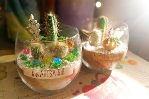 【名古屋・寄せ植え体験】お部屋に潤いを！タニクグラスワークショップ