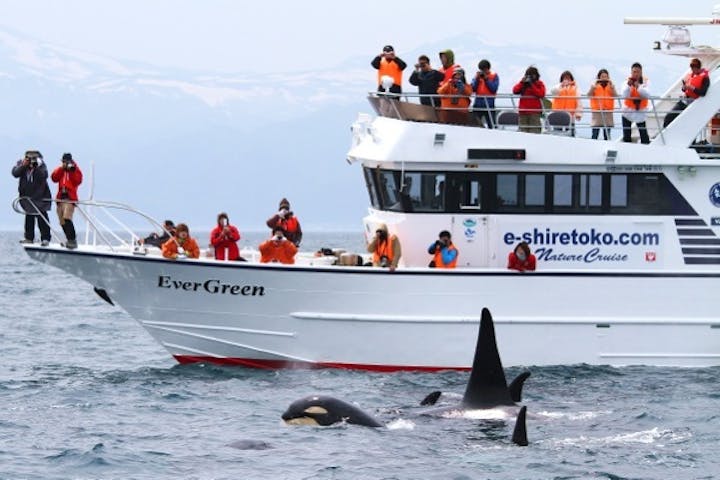 知床ネイチャークルーズ