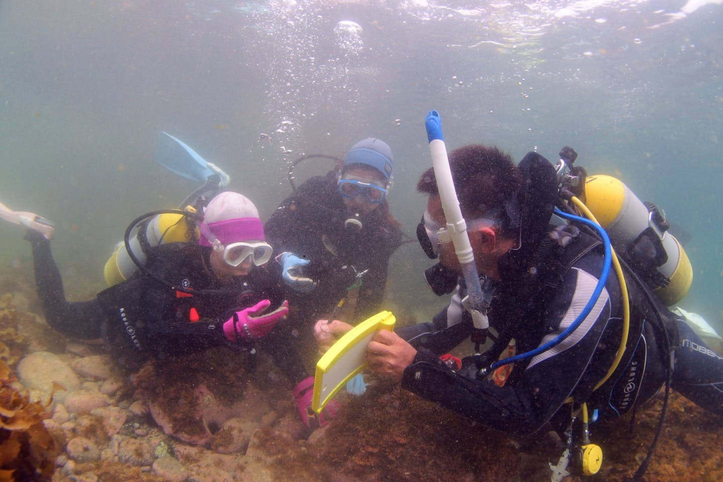 半日 福岡の海で潜ろう よかうみ体験ダイビング アソビュー