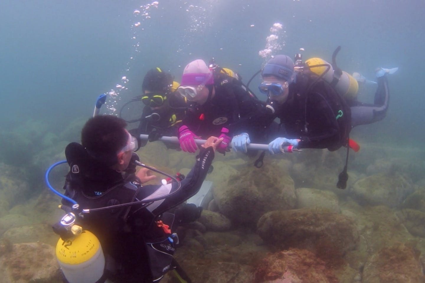 半日 福岡の海で潜ろう よかうみ体験ダイビング アソビュー