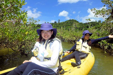 【沖縄・今帰仁村・カヤック】湧き水エリアで生き物観察！沖縄の自然とふれあうマングローブカヤックツアー