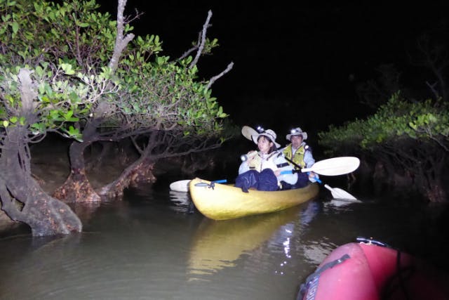 【沖縄・今帰仁村・カヤック】神秘的な夜のマングローブ。湧き水散策なし。ナイトカヤック2時間