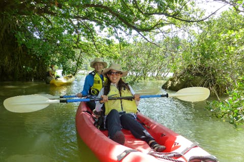 【沖縄・今帰仁村・カヤック】高水位　ネイチャーウォッチング マングローブカヤック 2時間　美ら海水族館に近いマングローブカヤック 満潮時は狭い入り江にはいれるかも