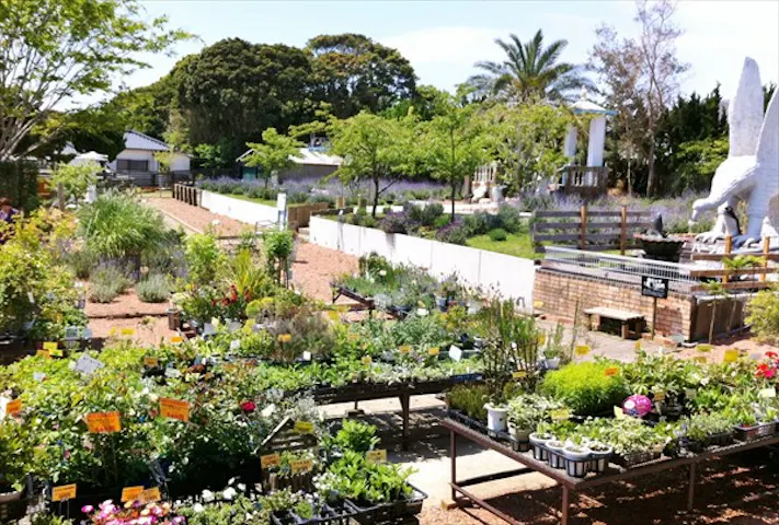 海のそばのハーブ園 ハーブガーデン ポケット ネット予約ならアソビュー