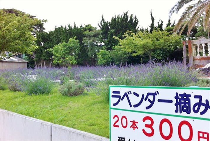 海のそばのハーブ園 ハーブガーデン ポケット ネット予約ならアソビュー