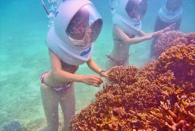 瀬底ビーチマリンクラブ｜ネット予約ならアソビュー！