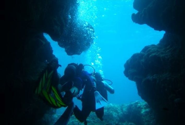 エコガイドカフェ