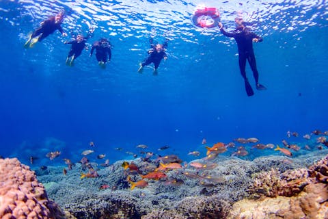 【宮古島・半日・シュノーケリング】下地島中の島ビーチシュノーケリング！世界トップクラスの美しいビーチへ