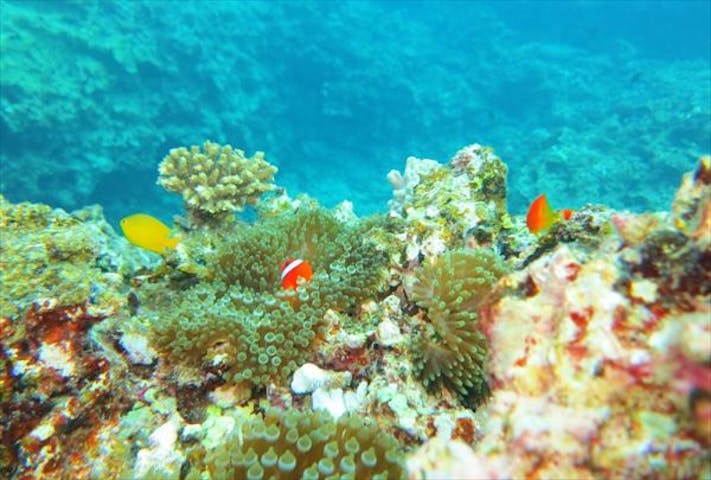 マリンクラブ バスロ