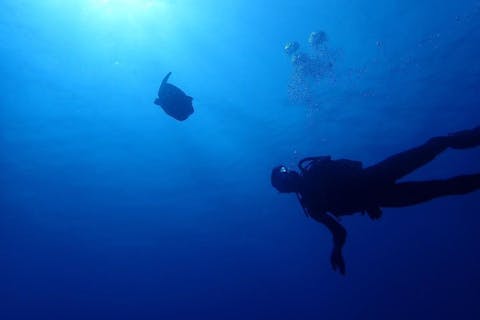【沖縄・青の洞窟】お得な体験ダイビング2本セット！沖縄の海を満喫！（ボート）