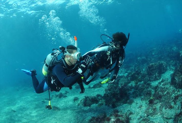 八幡野ダイビングセンター