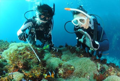 【伊豆・八幡野】安全で楽しいダイビング！初心者におすすめ体験プラン