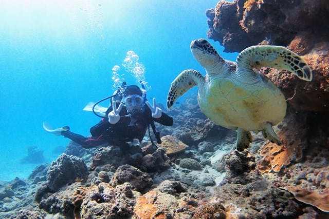【屋久島・体験ダイビング】ゆとりのある2ダイブ！屋久島体験ダイビング（動画撮影付）