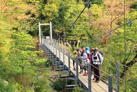 【苔むす森と太鼓岩からの絶景！】白谷雲水峡　奉行杉コース