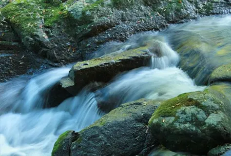 【蛇之口の滝トレッキング】照葉樹の森を歩き、神秘の滝を目指す！