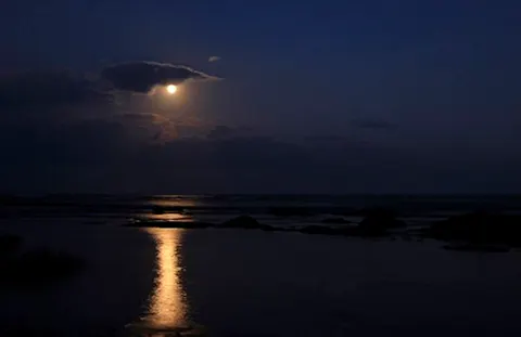 【ナイトツアー】屋久島の夜は魅力満載！ウミガメの産卵シーンを見よう