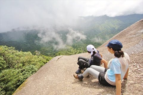 【苔むす森と太鼓岩からの絶景！】白谷雲水峡　楠川歩道コース