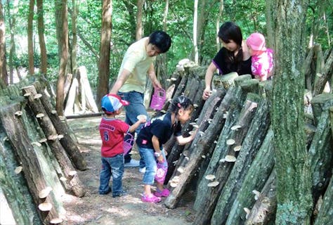 関西できのこ狩り しいたけ狩り 関西のおすすめきのこ狩り農園の予約は アソビュー