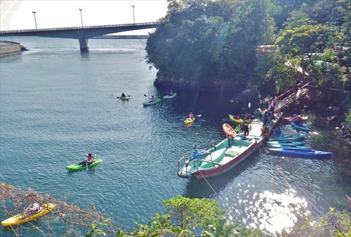 屋久島フィールド情報センター