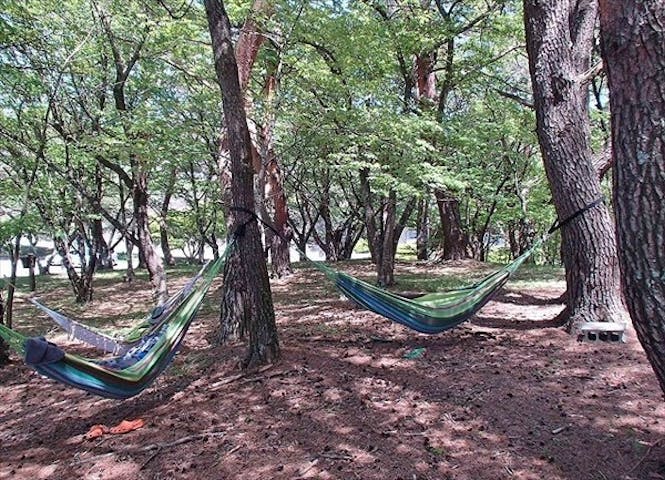 本栖湖いこいの森キャンプ場 ネット予約ならアソビュー 本栖湖いこいの森キャンプ場 ネット予約ならアソビュー