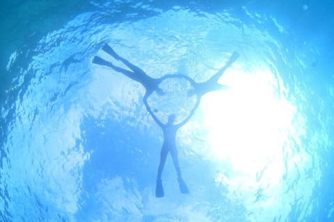 【屋久島・半日・スノーケリング】屋久島の美しい海を探検しよう！初心者大歓迎のスノーケリングプラン