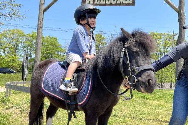 【鳥取・大山町・乗馬】ちびっ子限定★かわいいミニチュアホースに乗ってみよう「ポニー乗馬」