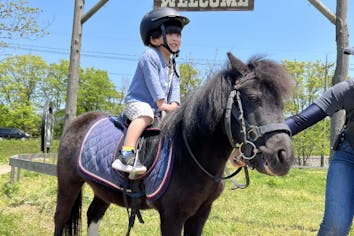 センターピース ホース 馬 センターピース ホース 馬