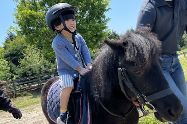 センターピース ホース 馬 センターピース ホース 馬