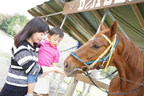 鳥取・大山町・乗馬】ちびっ子限定☆かわいいミニチュアホースに