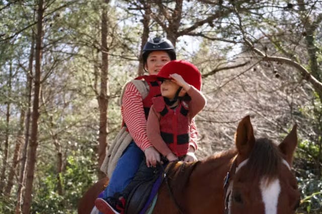 【鳥取・大山町・ホーストレッキング】小学生から1人乗りOK！自然の中をお馬さんと「お散歩コース」