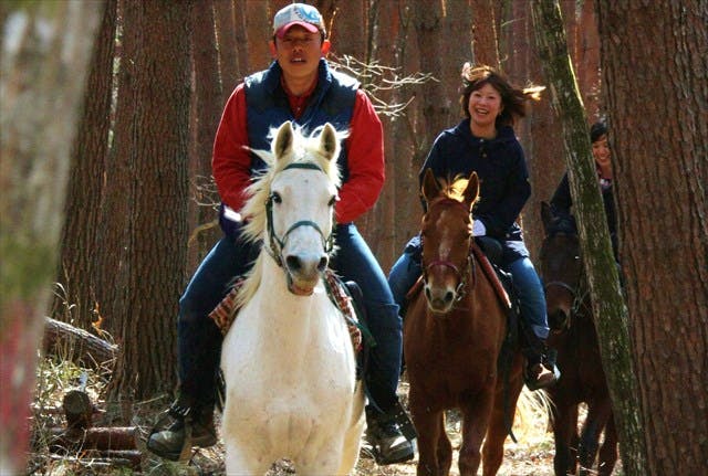 【八ヶ岳・乗馬体験・45分】乗馬レッスン＆森林トレッキング！初心者も乗馬を大満喫！