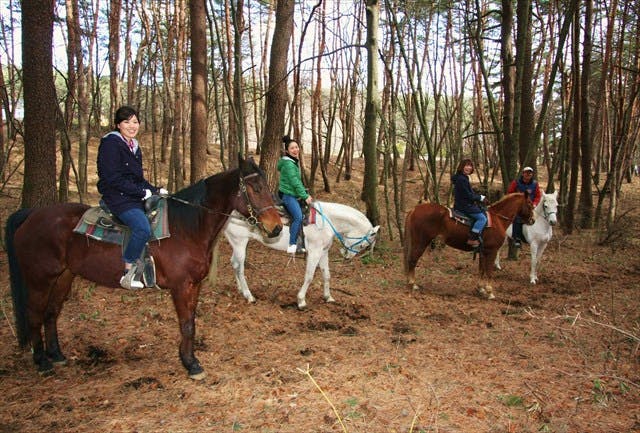 【八ヶ岳・乗馬体験】大感激の60分！人懐っこい馬たちと森林トレッキング
