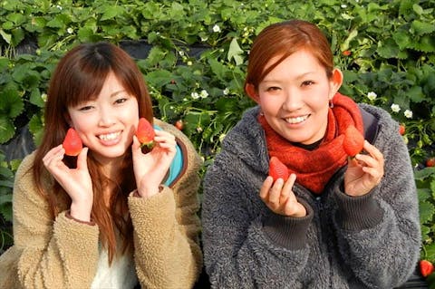 枝豆（えだまメンチ）【アソビュー！】