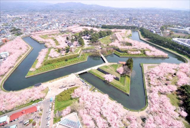 2時間・函館】激動の時代に想いを馳せて。特別史跡・五稜郭歴史ガイド｜アソビュー！