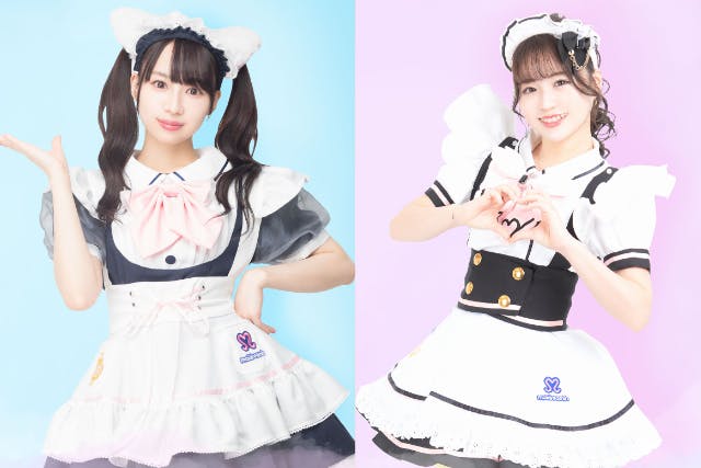 めいどりーみん　キッチン服　本物 東京・秋葉原】めいどりーみんをお試し！「ワンドリンクプラン