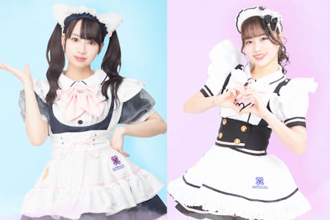 【東京・秋葉原】めいどりーみんをお試し！「ワンドリンクプラン」