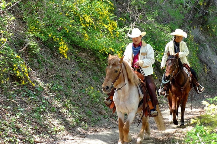 クリオステーブル