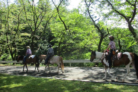 埼玉・秩父・乗馬体験（外乗・公道を馬でおさんぽ）