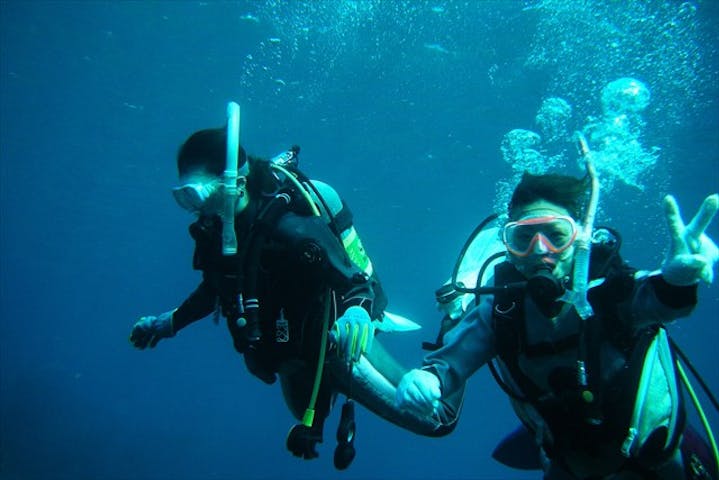 ドルフィンリング