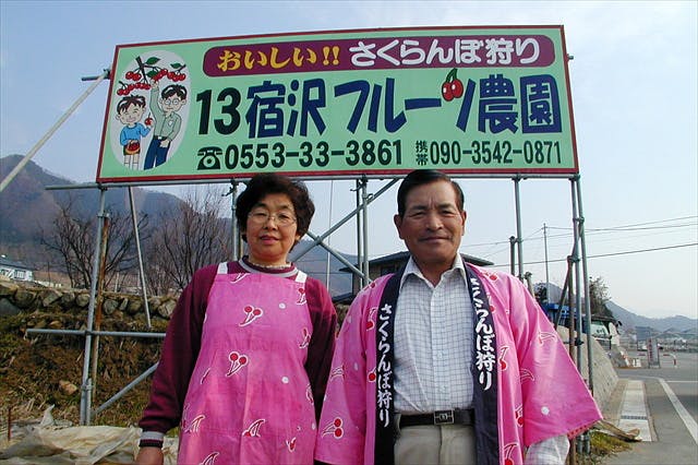 甲州市 プラム狩り 40分食べ放題でお土産付 美味しいプラムを丸かじり アソビュー