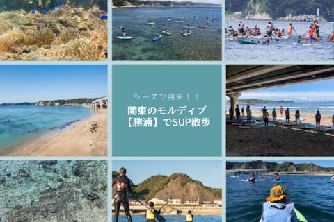 【シーズン到来‼】関東のモルディブ「勝浦」の海でSUP散歩プラン
