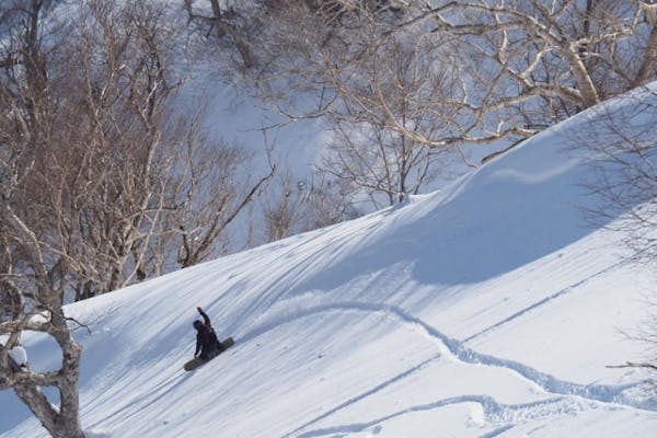 驚きの値段で】 TーSNOWさま専用 THE DAY HAKUBA【バックカントリー