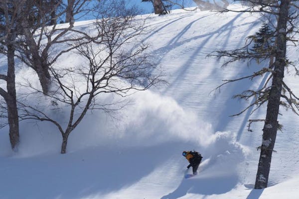 驚きの値段で】 TーSNOWさま専用 THE DAY HAKUBA【バックカントリー