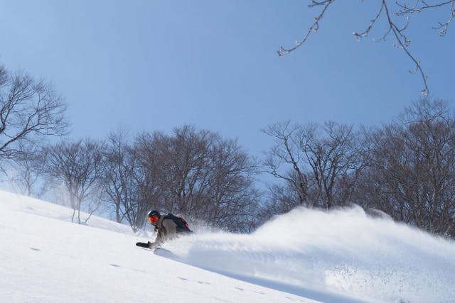 TーSNOWさま専用 THE DAY HAKUBA【バックカントリー】 | www.martin