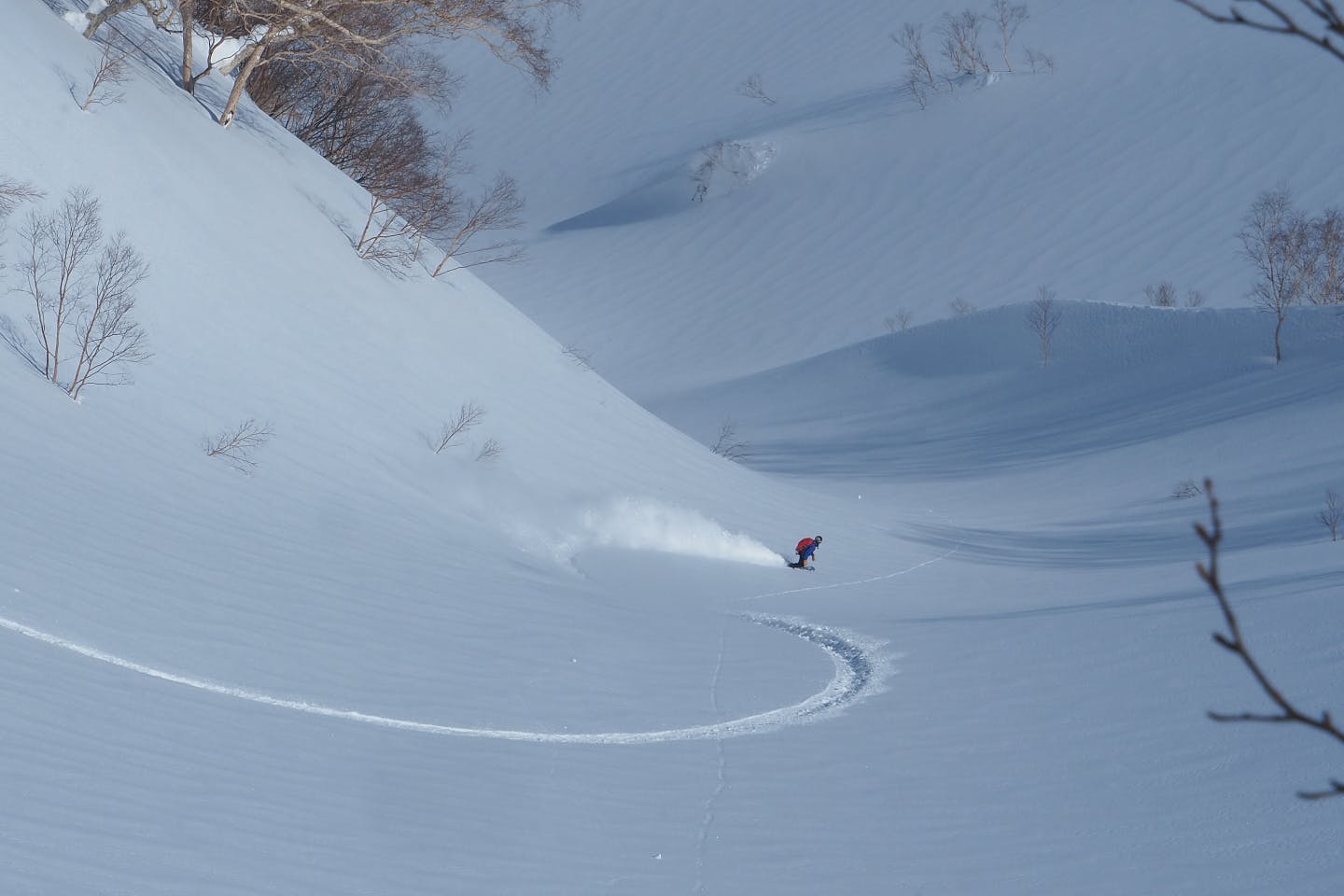 最大80％オフ！ TーSNOWさま専用 HAKUBA【バックカントリー