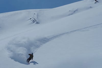 残りわずか】 TーSNOWさま専用 その他もんち様専用ページその他 THE