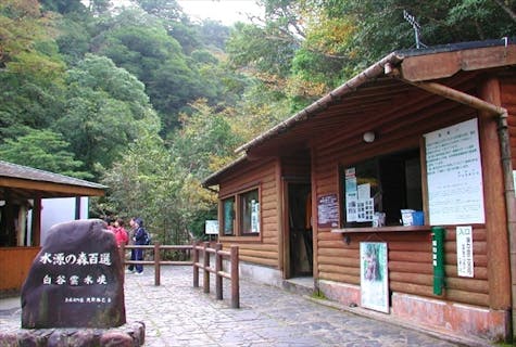 【屋久島・トレッキング7km】わくわく太鼓岩トレッキングプラン